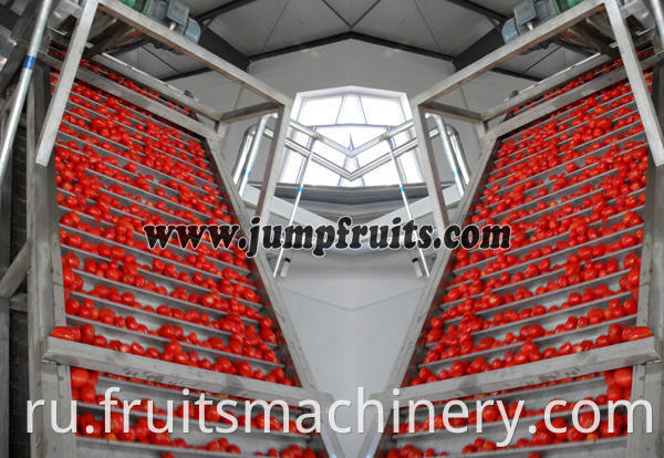 tomato jam processing plant